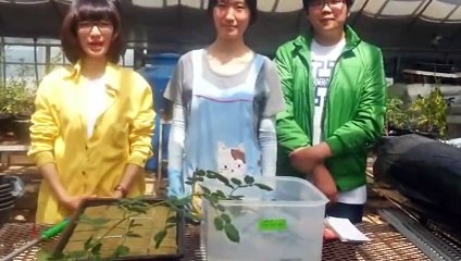 무안출장타이OiOs2671s8135｛카톡LA369｝ぱ무안출장안@마ぱ무안출장샵ぱ무안출장맛사지 ぱ무안출장걸썰 무안출장걸가격 무안출장러시아 무안외국인후불출장업소 무안24시출장마사지샵'예약‡♭