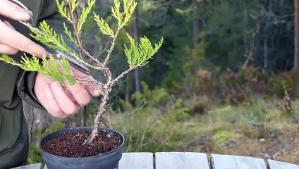 달서출장안마 -후불100%ョ 070c5180c1619｛카톡NX34｝ 달서전지역출장안마 달서오피걸 달서출장마사지 달서안마 달서출장마사지 달서콜걸샵※≒℃