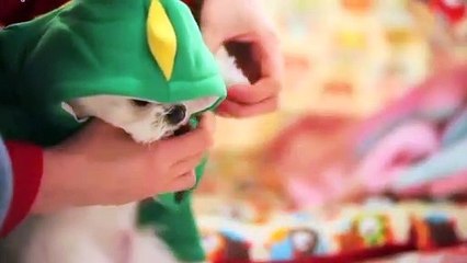 서산출장안마 -후불100%ョO7Os7333s9649｛카톡VV23} 서산전지역출장안마 서산오피걸 서산출장마사지 서산안마 서산출장마사지 서산콜걸샵æđð