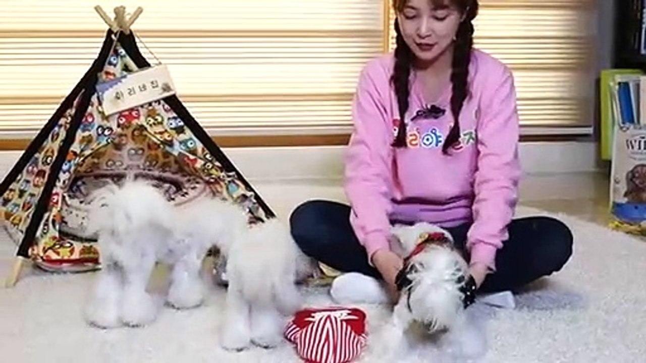 부여출장안마 -후불100%ョOiOc2659c1768｛카톡SN92｝ 부여전지역출장안마 부여오피걸 부여출장마사지 부여안마 부여출장마사지 부여콜걸샵※≒℃