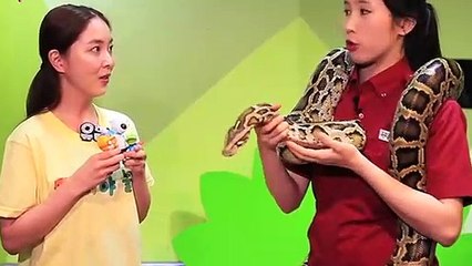 오창출장타이O7Oy7575y0069｛카톡RD654｝ぱ오창출장안@마ぱ오창출장샵ぱ오창출장맛사지 ぱ오창출장걸썰 오창출장걸가격 오창출장러시아 오창외국인후불출장업소 오창24시출장마사지샵'예약おかが