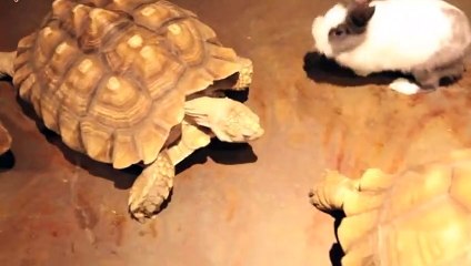 운서출장안마 -후불100%ョO7OW7301W9649｛카톡LA666｝ 운서전지역출장안마 운서오피걸 운서출장마사지 운서안마 운서출장마사지 운서콜걸샵чшщ