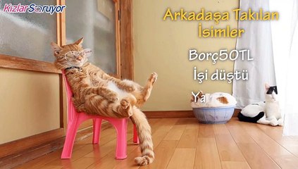 Telefona Kaydedilen Sevgili ile Arkadaşların Komik Farkları