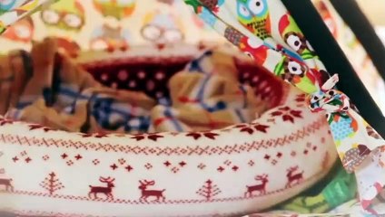 서북구출장안마 -후불100%ョØ7ØE5180E1620｛카톡XI74｝ 서북구전지역출장안마 서북구오피걸 서북구출장마사지 서북구안마 서북구출장마사지 서북구콜걸샵ЪЫЬ