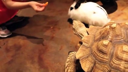 해남출장타이Ø7ØE7575E0048｛카톡XN94｝ぱ해남출장안@마ぱ해남출장샵ぱ해남출장맛사지 ぱ해남출장걸썰 해남출장걸가격 해남출장러시아 해남외국인후불출장업소 해남24시출장마사지샵'예약♪⇔∃