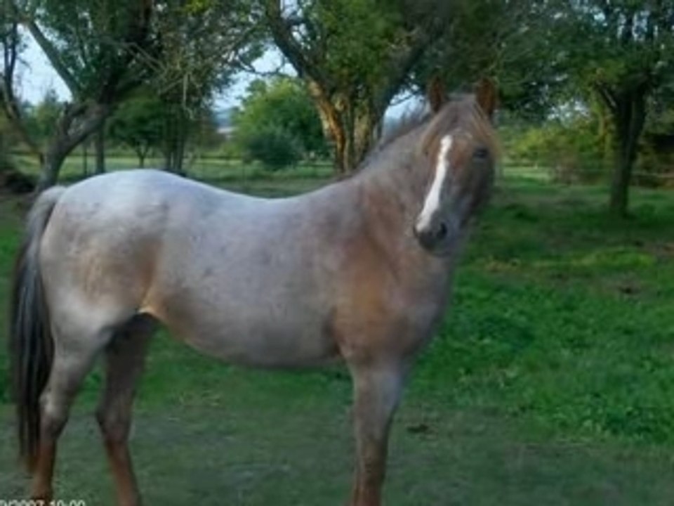 Anne-Sophie1
