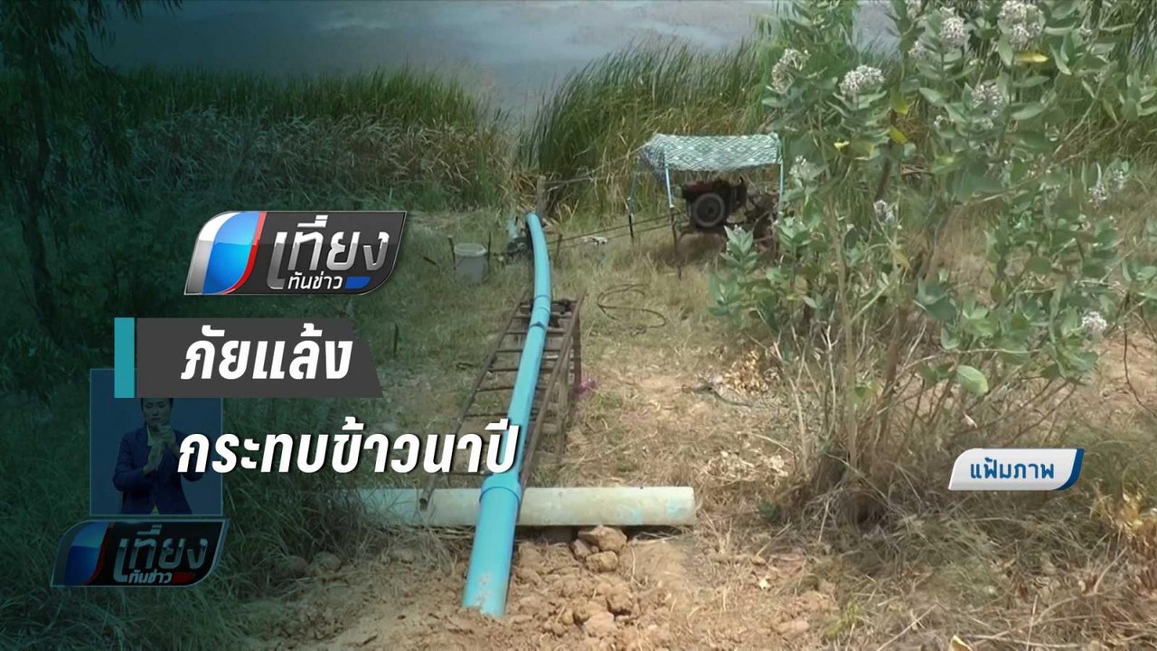 ภัยแล้ง ทำผลผลิตข้าว สูญเสีย 15,000 ล้านบาท - เ...