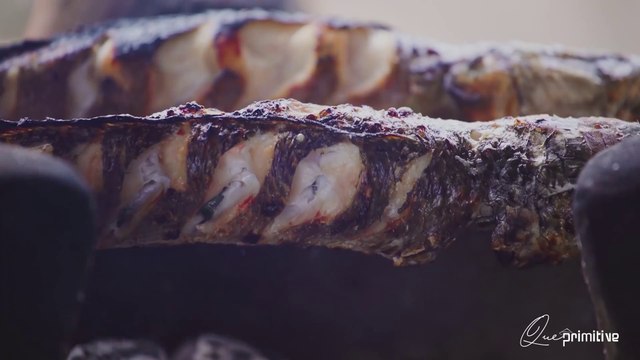 CÁ LÓC NƯỚNG TRUI - CATCHING AND GRILLED SNAKEHEAD FISH - Que Primitive