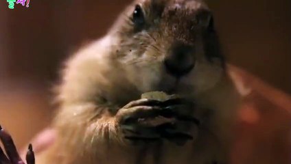 영통구출장안마 -후불100%ョOiOc7362c3210｛카톡RQ43｝ 영통구전지역출장안마 영통구오피걸 영통구출장마사지 영통구안마 영통구출장마사지 영통구콜걸샵∠⊥≤