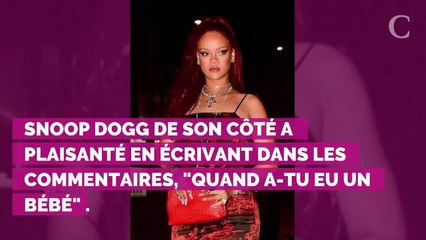 PHOTO. Quand Rihanna s'amuse de la ressemblance frappante d'un...