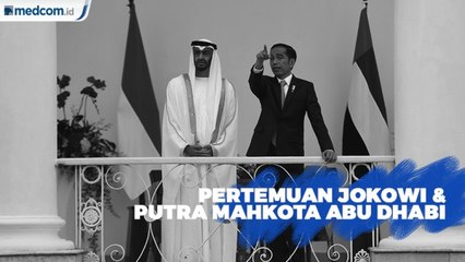 Pertemuan Jokowi dengan Putra Mahkota Abu Dhabi