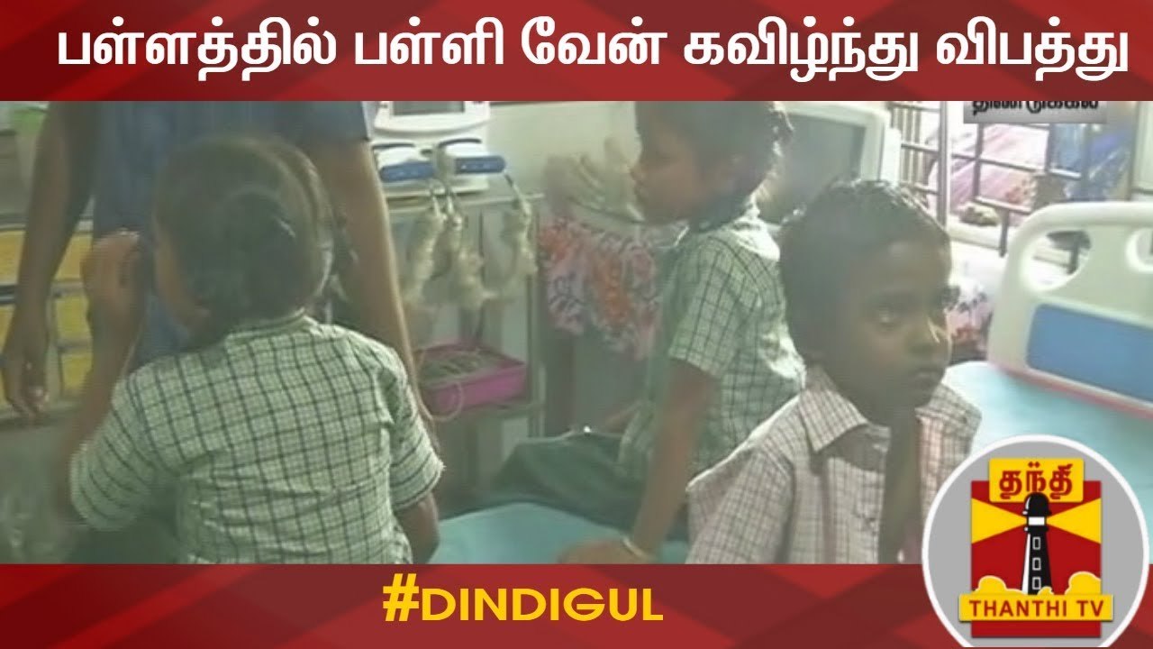 திண்டுக்கல் அருகே சாலையோர பள்ளத்தில் பள்ளி வேன...