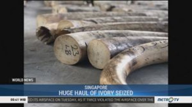 Huge Haul of Ivory Seized