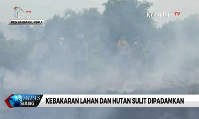 Video herunterladen: 5 Helikopter Bantuan BNPB Habis Kontrak, Kebakaran Hutan di Riau Sulit Dipadamkan