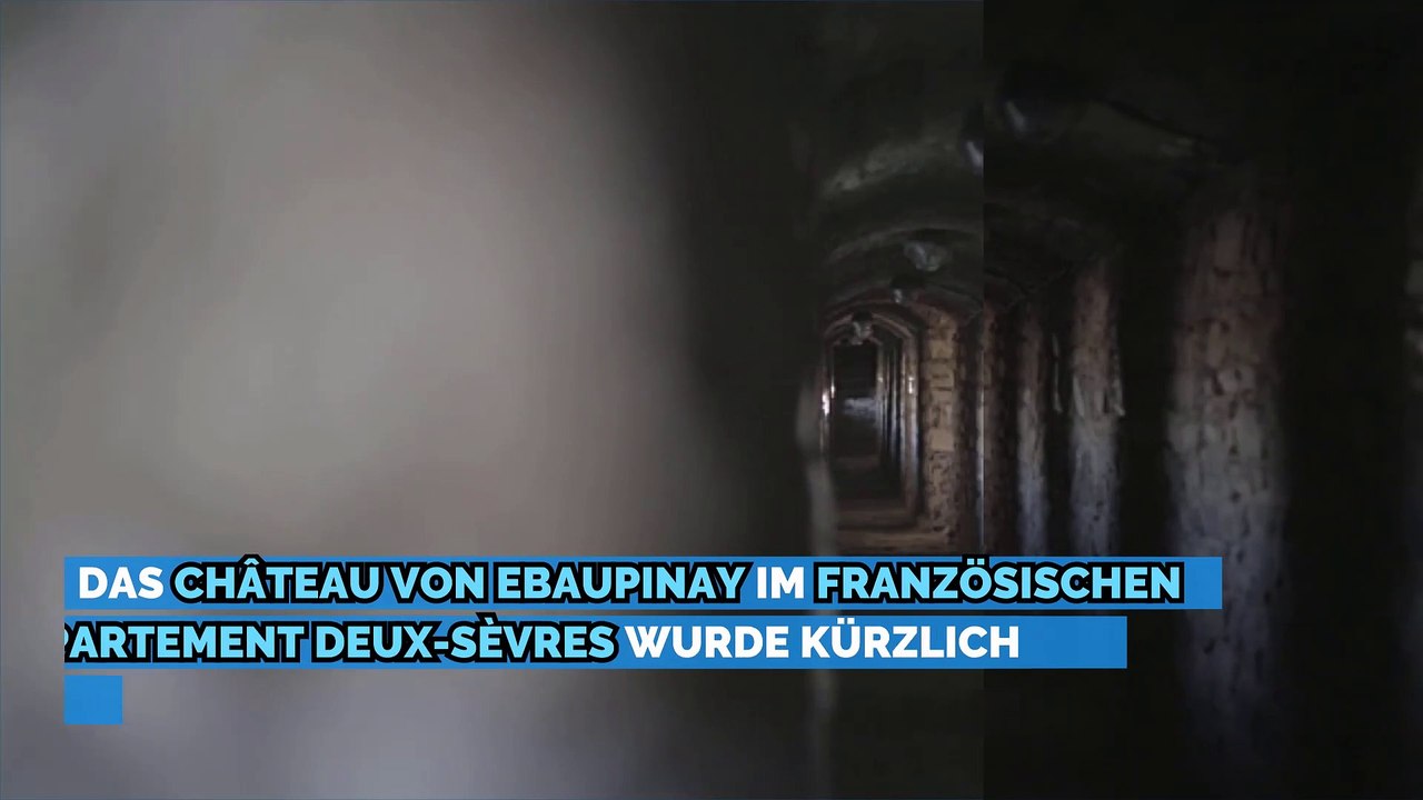 Château de l'Ebaupinay, verkauft für nur 50 Euro!