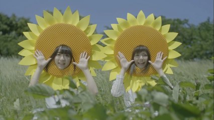 Petit Milady - Himawarino Sakamichi