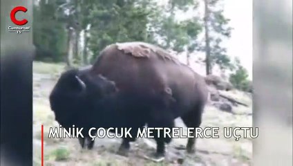Milli parkta korkunç olay! Minik çocuk metrelerce uçtu