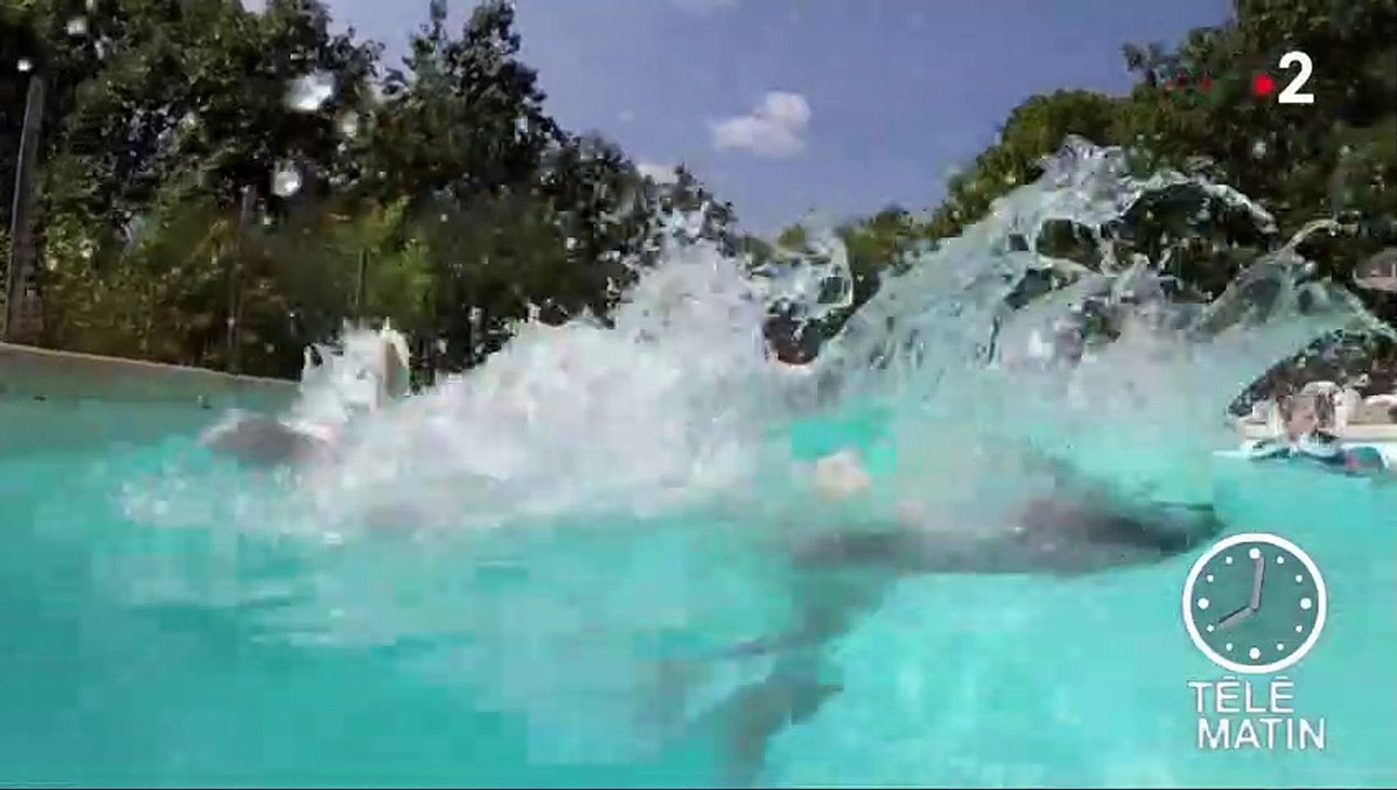 Haute-Vienne : un camping face aux restrictions d'eau