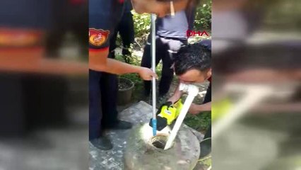 KOCAELİ KUYUYA DÜŞEN YAVRU KEDİ KURTARILDI