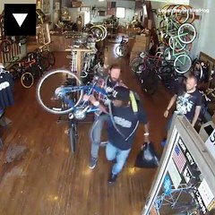 thieves trying to steal things  funny 2019