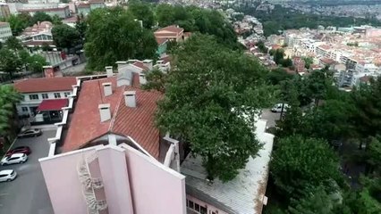 Bursa Orduevi'nin asırlık çınarları