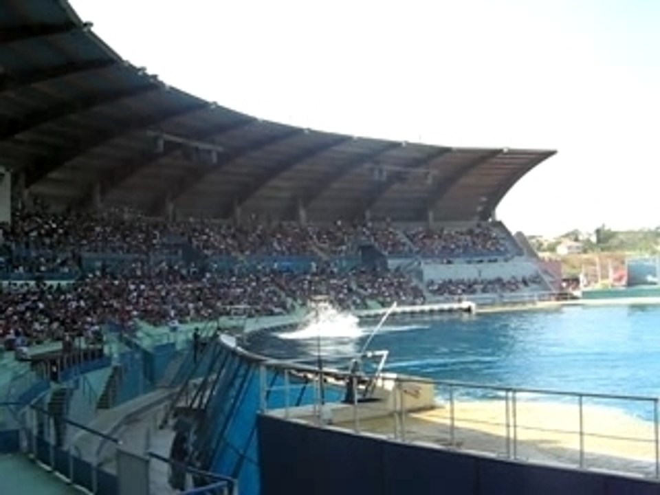 marineland orque