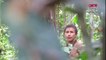 شاهد: أفراد قبيلة أمازونية معزولة يتهددها خطر إزالة الغابات