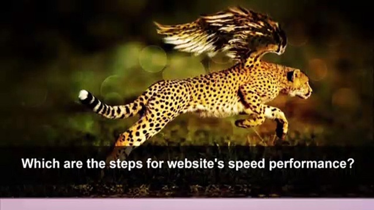 Get the Best Performance, Using Magento 2 Performance Optimization Tricks and Steps