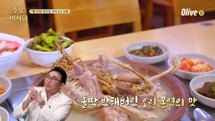 [예고] 올 여름, 오리의 매력 속으로 풍덩~☆