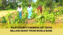 Kilifi County farmers get Sh150 million grant from world bank-