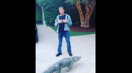 Sylvester Stallone takes Arnold Schwarzenegger's Alligator for a walk !