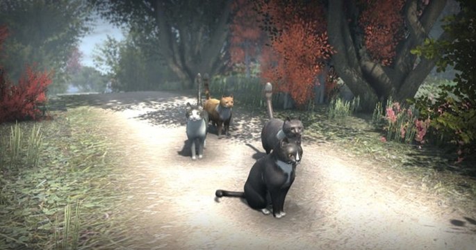 Un nouveau jeu vidéo en monde ouvert vous propose d'incarner... un chat