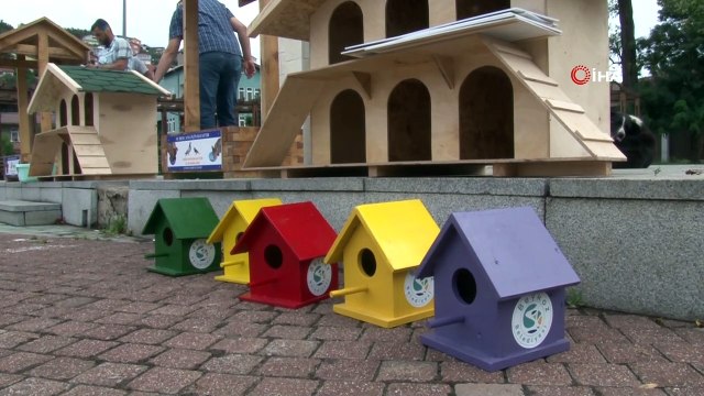 Beykoz’da sokak hayvanları yuvasız değil