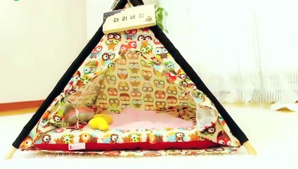 고흥출장안마 -후불100%ョ070c5180c1620｛카톡XI74｝ 고흥전지역출장안마 고흥오피걸 고흥출장마사지 고흥안마 고흥출장마사지 고흥콜걸샵ミムメ