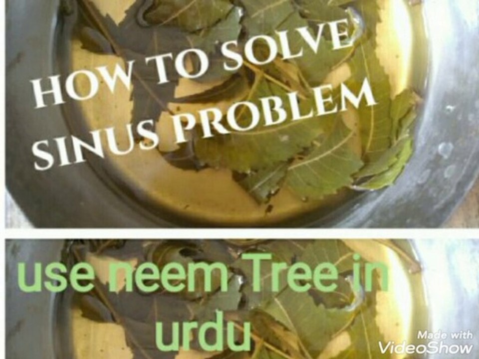 How to solve sinus problems in Urdu
