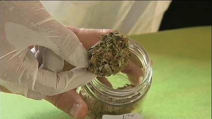 L'Allemagne doit faire face à un manque de cannabis médicinal