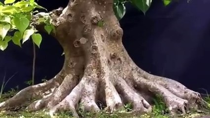 만안출장타이O7Os7575s0062｛카톡DDR88｝ぱ만안출장안@마ぱ만안출장샵ぱ만안출장맛사지 ぱ만안출장걸썰 만안출장걸가격 만안출장러시아 만안외국인후불출장업소 만안24시출장마사지샵'예약ざしじ