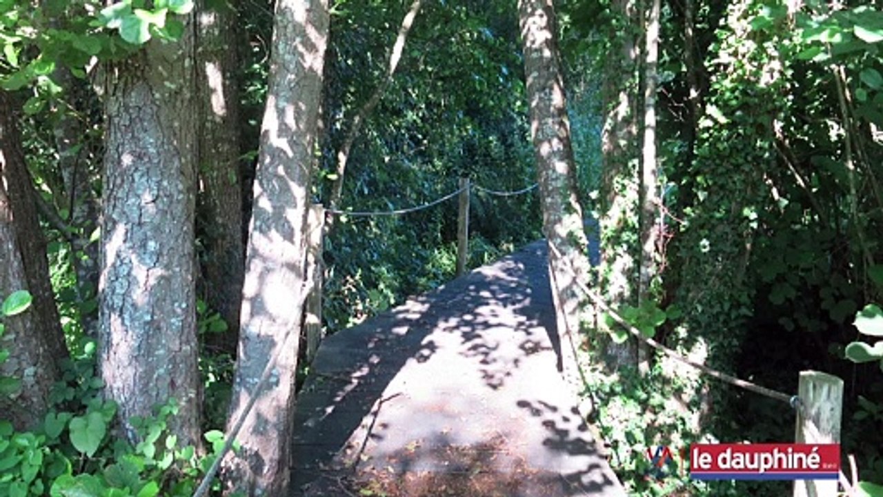 PODCAST Venez visiter l’ENS de l’étang des nénuphars