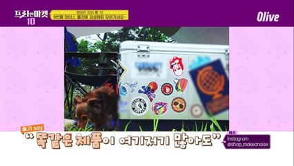 아이스쿨러(아이스박스)도 갬성갬성_ 사이즈ver. [캠핑은 장비 빨10]