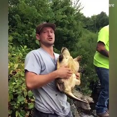 ▪Los animales también pueden tener su mal día.. 