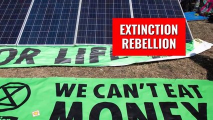 Politics_Everything_You_Need_to_Know_About_Extinction Rebellion