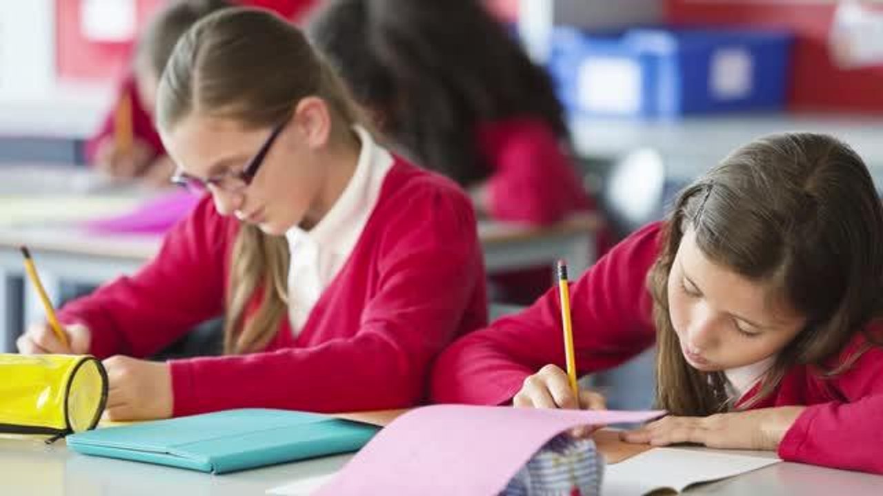 Primary school and secondary school