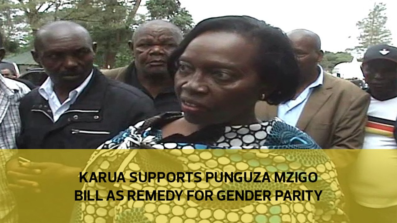 Karua supports Punguza Mzigo bill as remedy for...