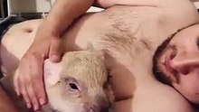 Cet homme s'endort avec son cochon dans les bras. Adorable !