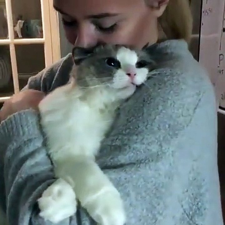Cette petite fille et son chat adorent se faire des câlins. Trop chou !