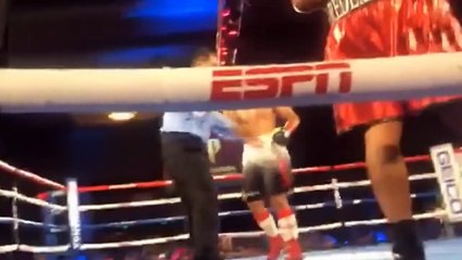 Junior Fa vs Dominick Guinn Replay Video Full Highlights