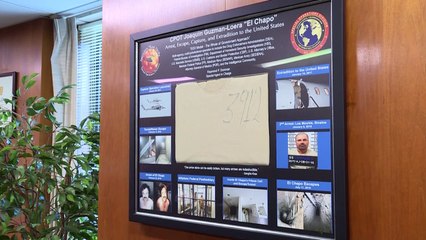 راي دونوفان مسؤول أميركي يفاخر بدوره في "إحقاق الحق" بملف إل تشابو