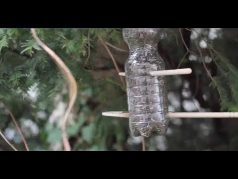 Er nahm einen Teppichschneider und machte ein Kreuz in eine Flasche. Der Grund? Vögel.
