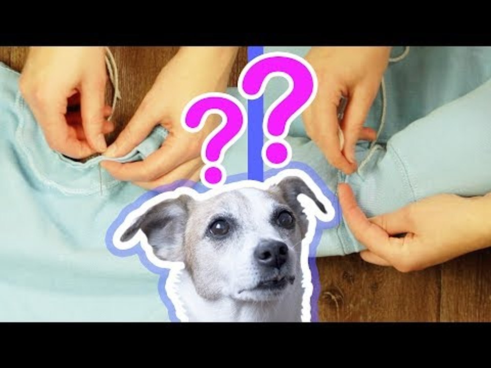 Schmeiß deinen alten Pullover nicht weg, denn was du daraus machen kannst, ist genial!