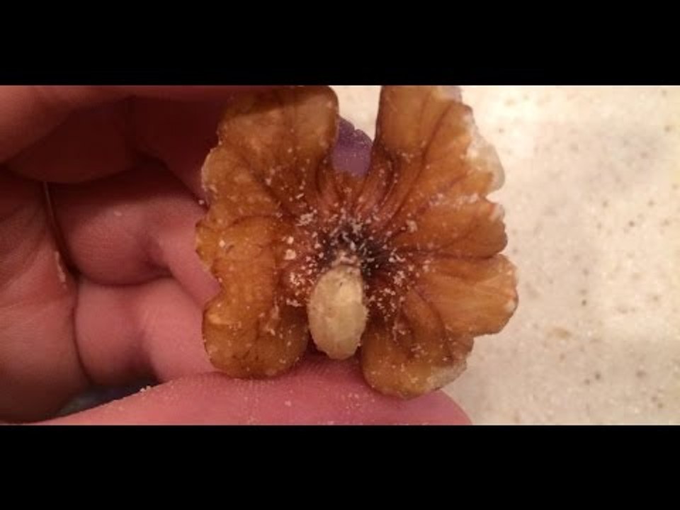 Wenn du mit der Erdnuss auf dem Boden rumrubbelst, wirst du staunen, was passiert.